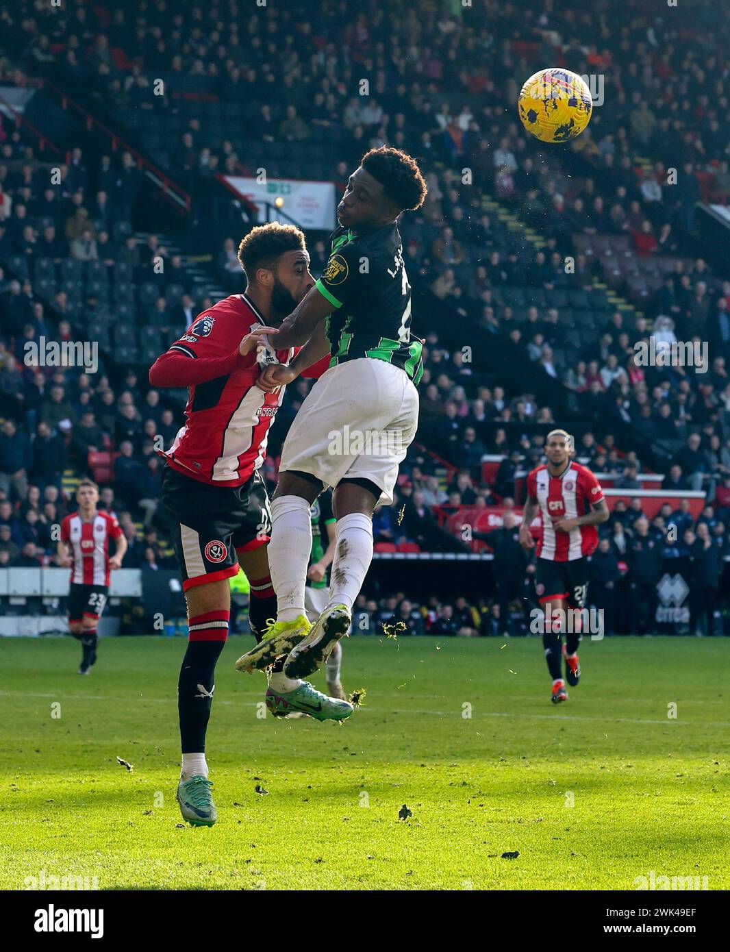 Bramall Lane, Sheffield, Großbritannien. Februar 2024. Premier League Football, Sheffield United gegen Brighton und Hove Albion; Jayden Bogle von Sheffield United führt den Ball unter Druck von Brighton &amp; Hove Albions Tariq Lamptey Credit: Action Plus Sports/Alamy Live News Stockfoto