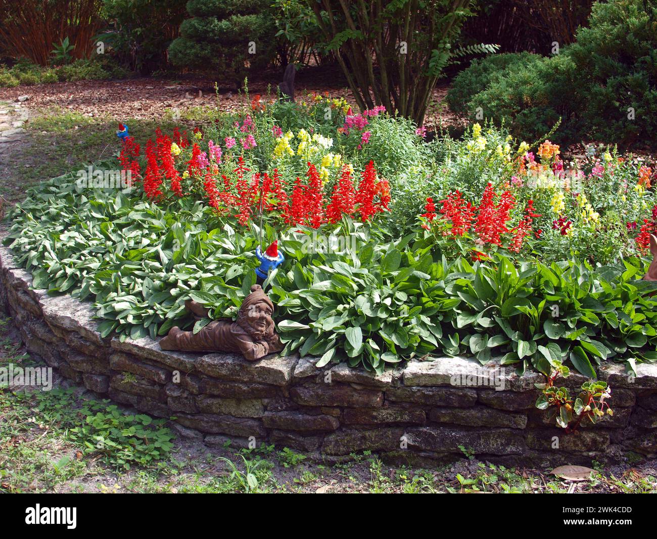 Gainesville, Florida, USA - 17. Mai 2015: Kindergarten in Kanapaha Botanical Gardens. Stockfoto