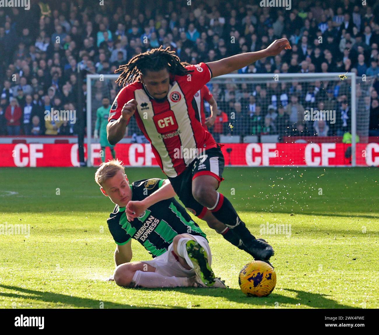 Bramall Lane, Sheffield, Großbritannien. Februar 2024. Premier League Football, Sheffield United gegen Brighton und Hove Albion; Yasser Larouci von Sheffield United wird von Brighton &amp besiegt; Jan Paul van Hecke von Hove Albion Credit: Action Plus Sports/Alamy Live News Stockfoto