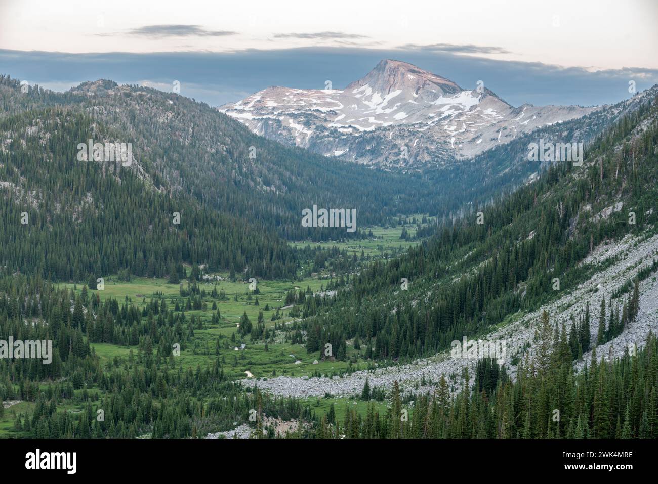 Das glazial gemeißelte Tal von East FK. Des Lostine River, Eagle Cap Wilderness, Oregon. Stockfoto