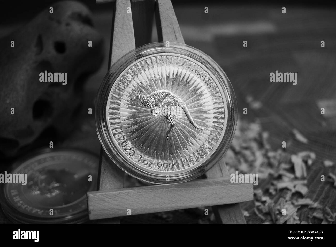 Feine Silbermünze. 1 Dollar Australisches Känguru 2023. Schwarzweißfoto. Stockfoto