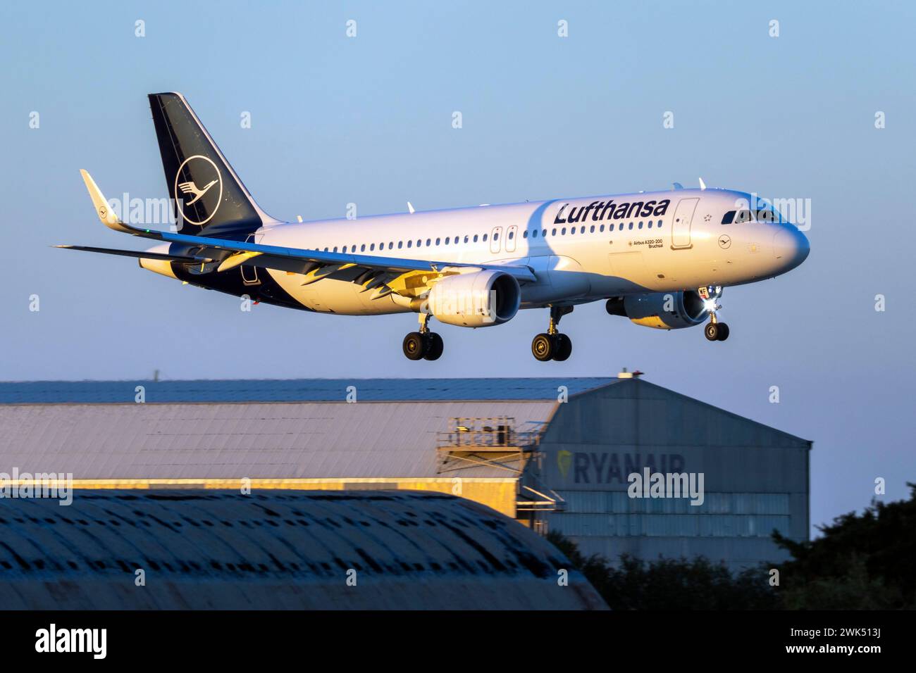 Lufthansa Airbus A320-214 (REG: D-AIWF) landet auf der Landebahn 13 bei Sonnenuntergang von München. Stockfoto