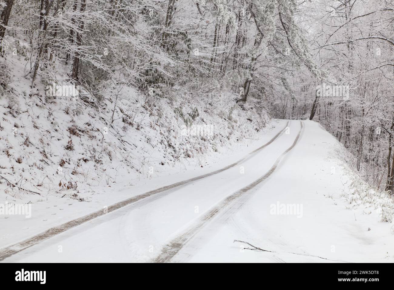 Winterschnee auf dem Highway 32 in Cosby, Tennessee Stockfoto