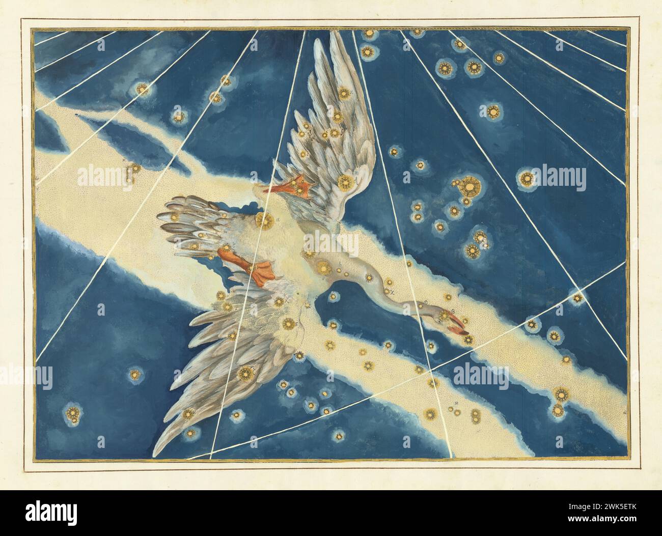 Cygnus - Johann Bayer, Vintage-Stich, 1603. Himmelskarte der Sternbilder mit den Sternen aus der Uranometria Bayer. Print enthält eine Darstellung des Schwans Stockfoto