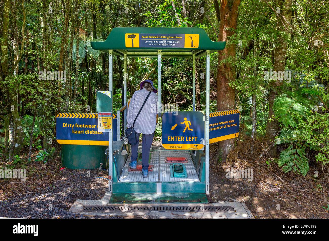 Schuhreinigungsstation zur Verhinderung der Ausbreitung der Dieback-Krankheit im Trounson Kauri Park, Te Tai Tokerau/Northland Region, Te IKA-a-Maui/NOR Stockfoto