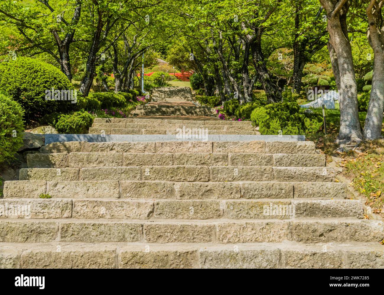 Betontreppe unter üppigem Laub im Stadtpark in Mokpo, Südkorea Stockfoto