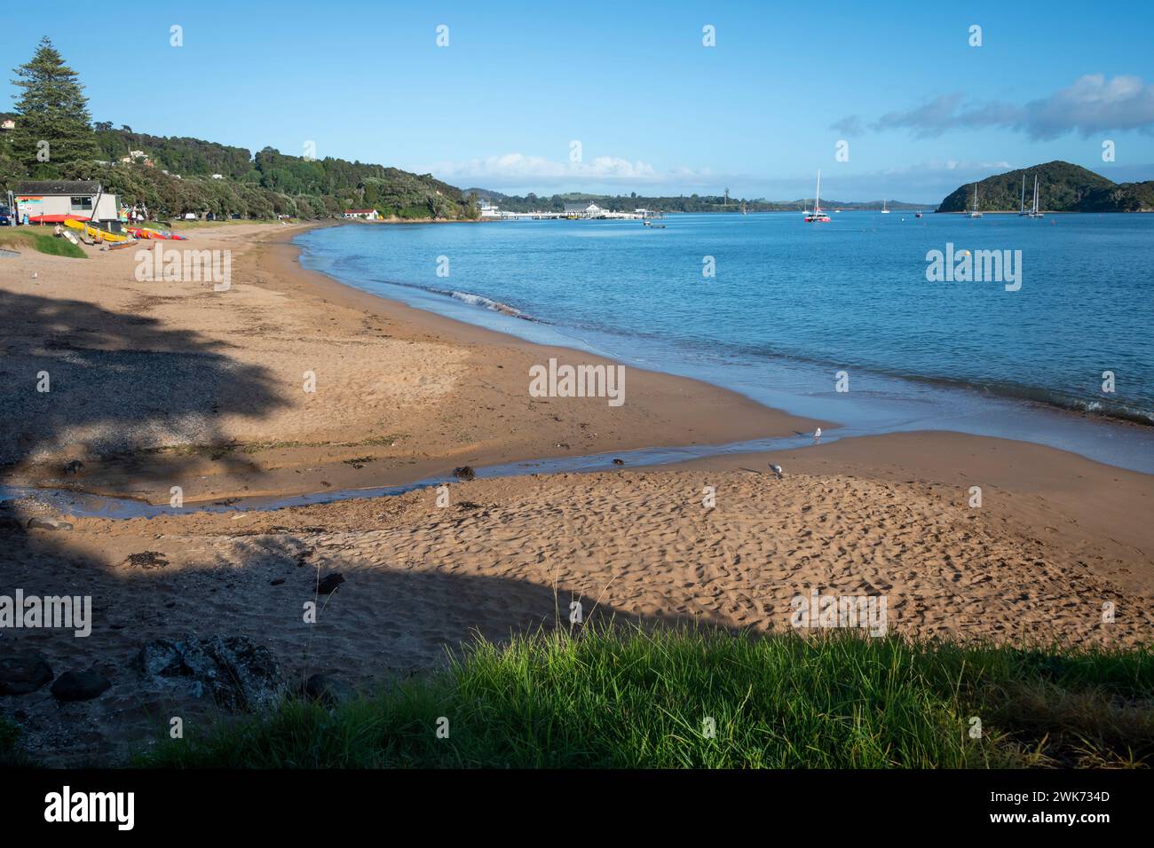 Strand in Paihia, Bay of Islands, Northland, Nordinsel, Neuseeland Stockfoto