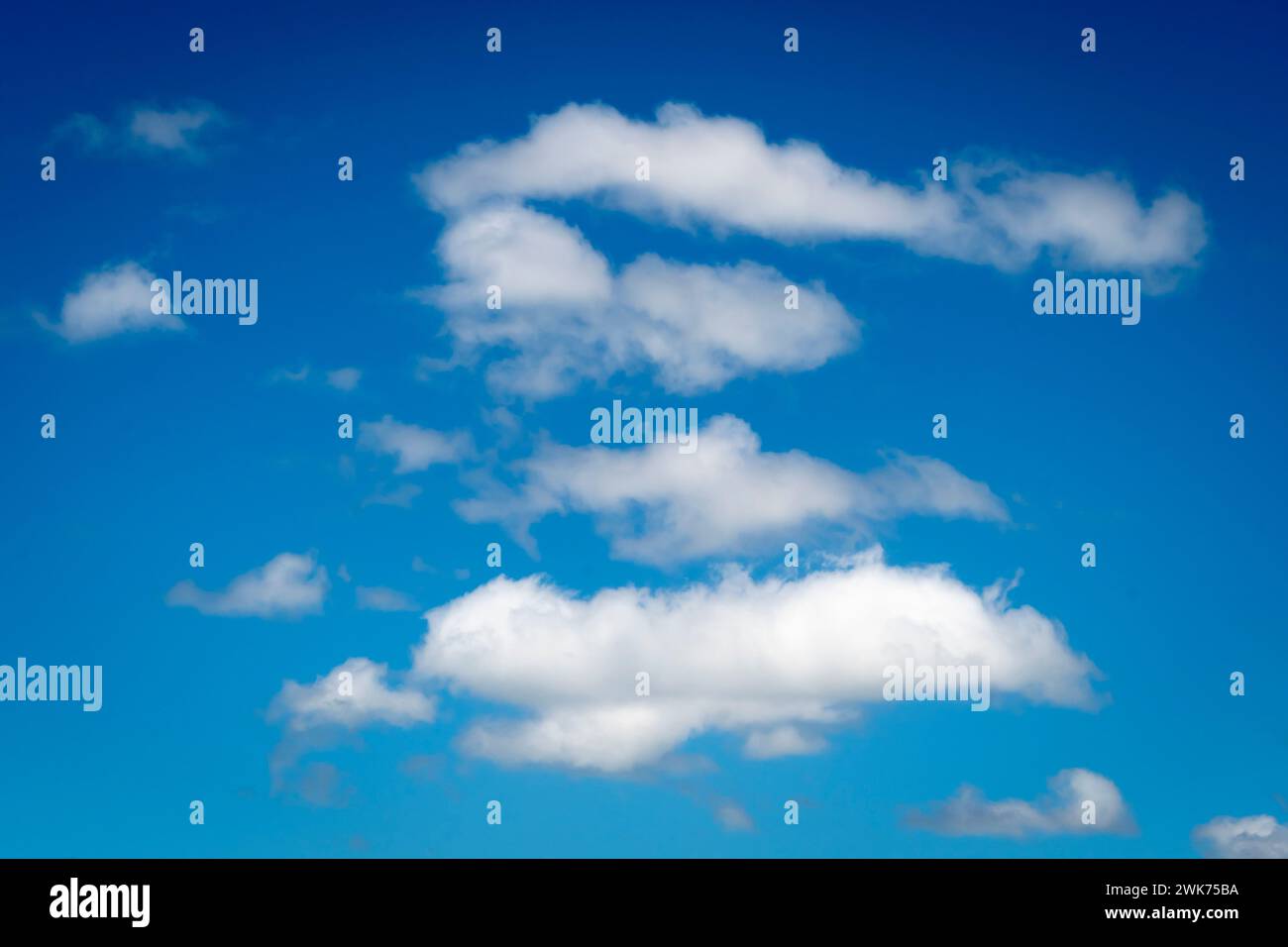Weiße Wolken, blauer Himmel, Paihia, Bay of Islands, Northland, Nordinsel, Neuseeland Stockfoto