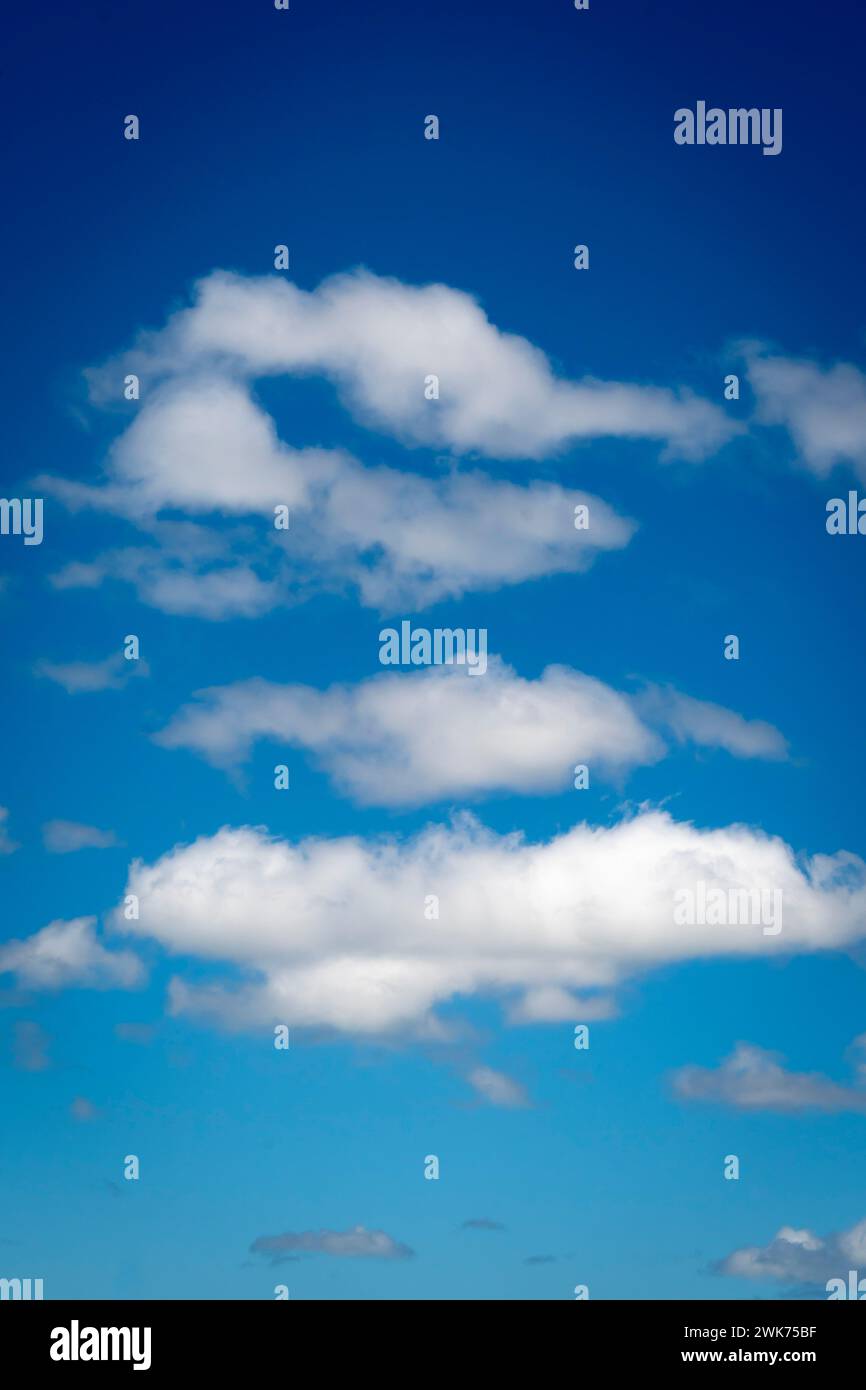 Weiße Wolken, blauer Himmel, Paihia, Bay of Islands, Northland, Nordinsel, Neuseeland Stockfoto
