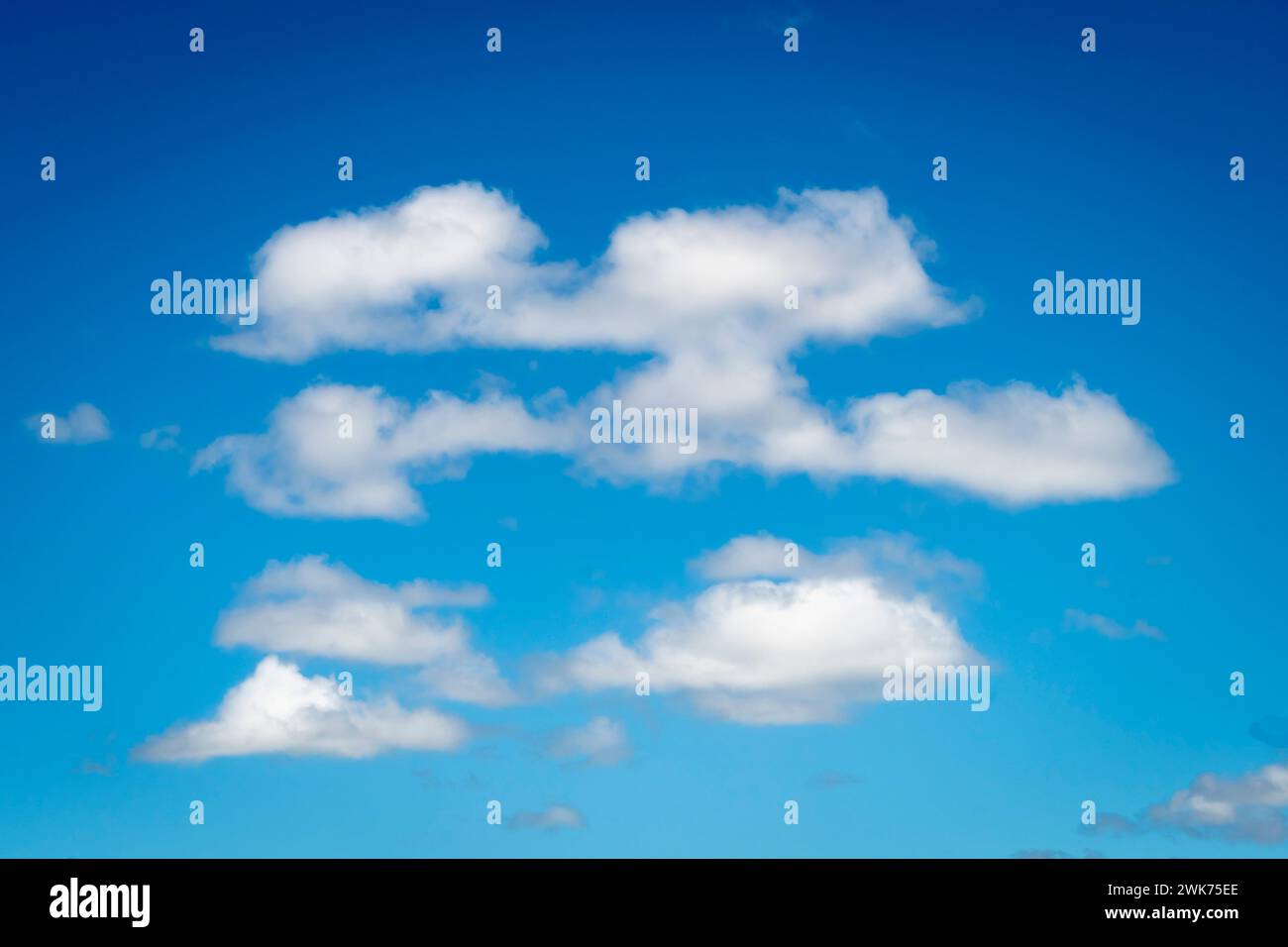 Weiße Wolken, blauer Himmel, Paihia, Bay of Islands, Northland, Nordinsel, Neuseeland Stockfoto