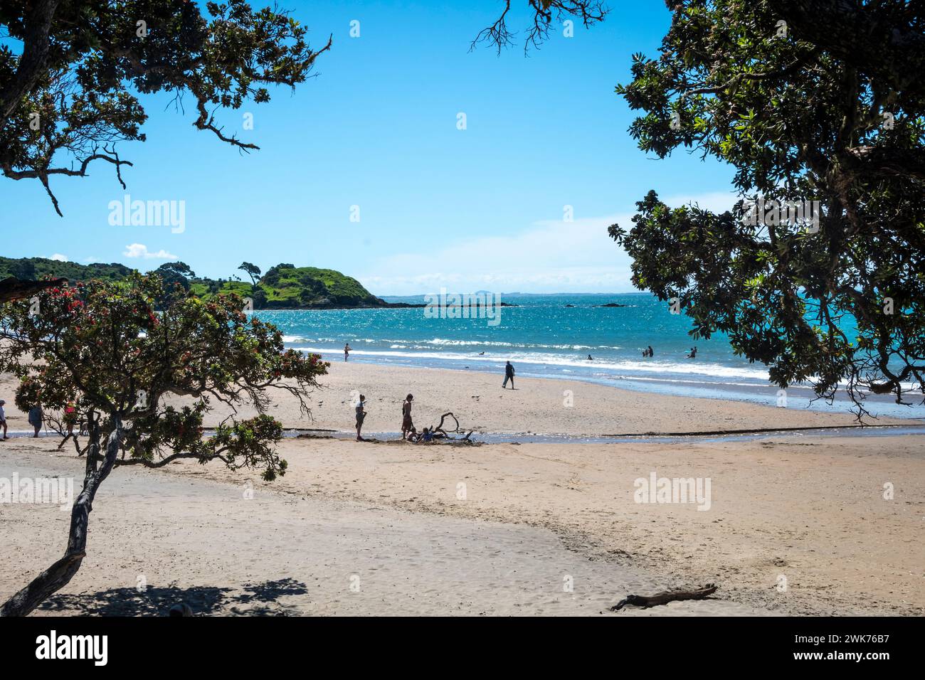 Coopers Beach, Zweifelsohne Bay, Northland, Nordinsel, Neuseeland Stockfoto