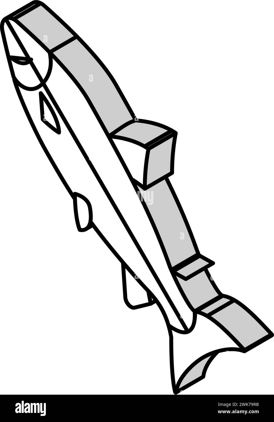 Isometrische Ikonen-Vektor-Illustration des atlantischen Lachses Stock Vektor