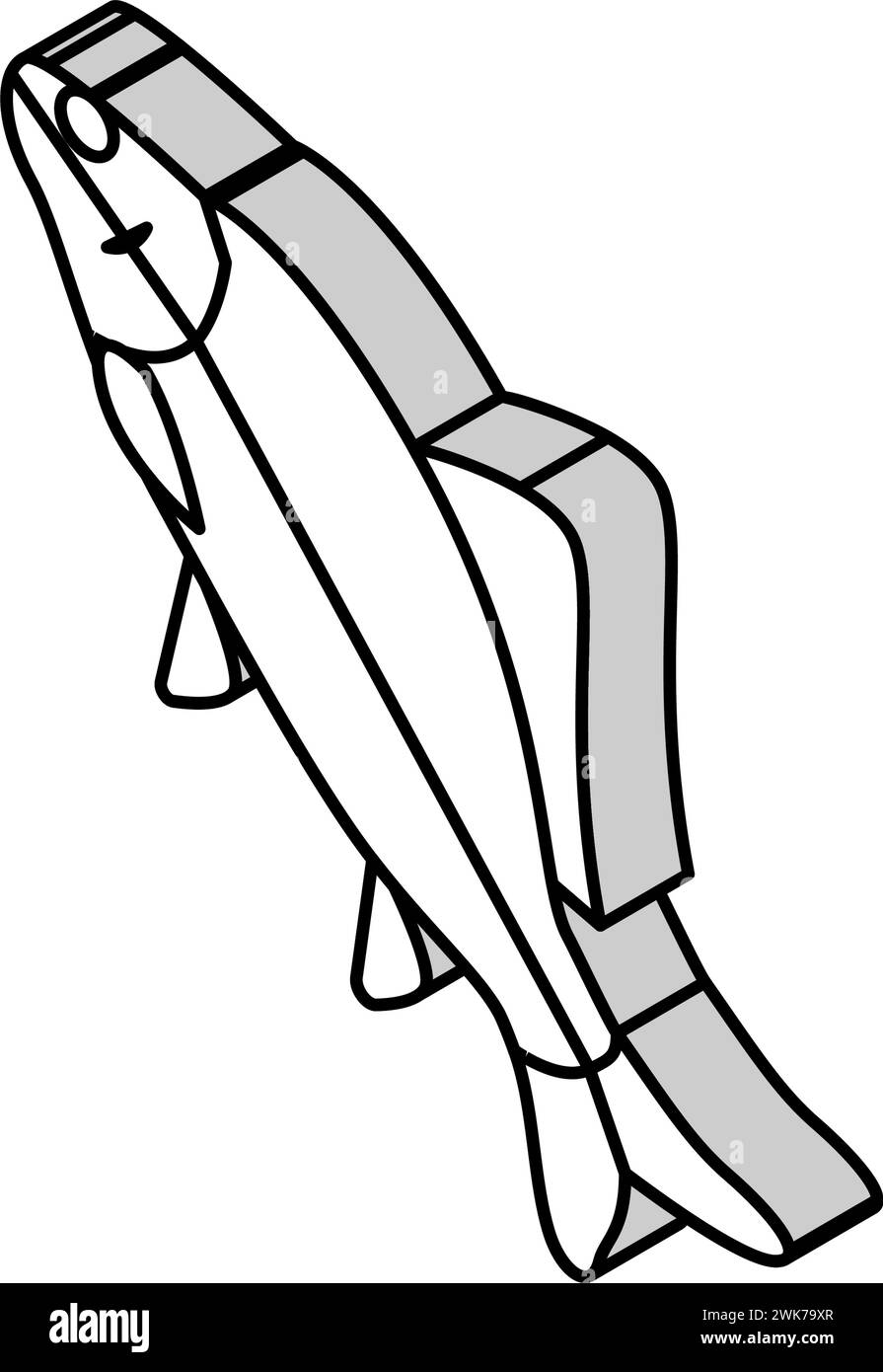 Isometrische Icon-Vektor-Illustration des Karpfens Stock Vektor