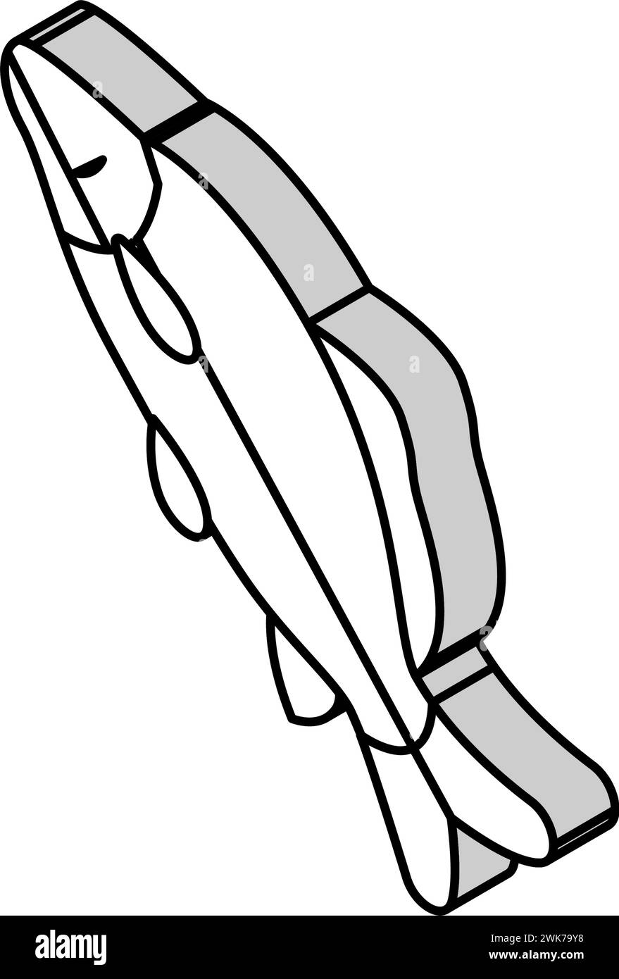 Gemeinsame isometrische Symbolvektor-Illustration des Karpfens Stock Vektor