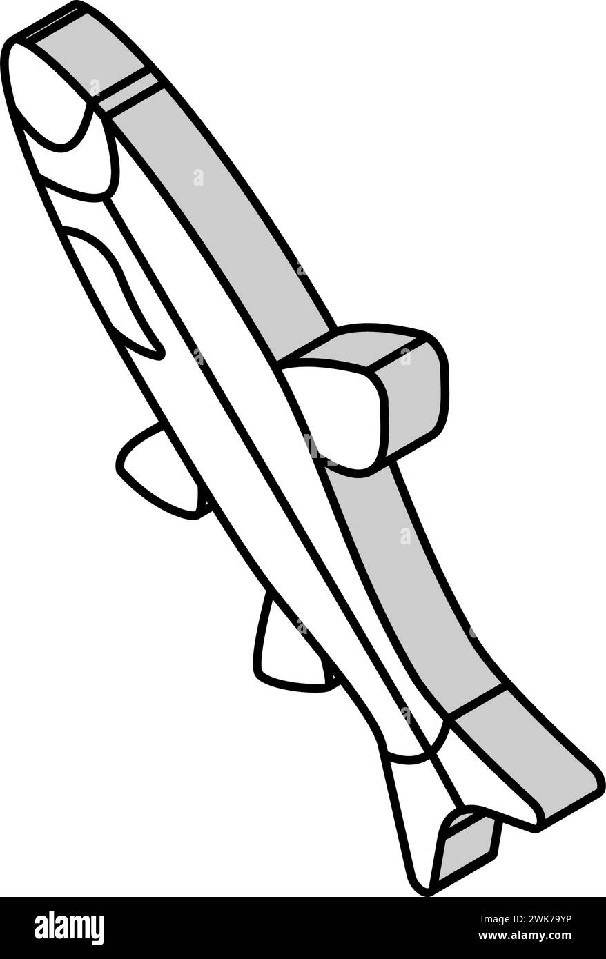 Graskarpfen isometrische Symbol Vektor-Illustration Stock Vektor