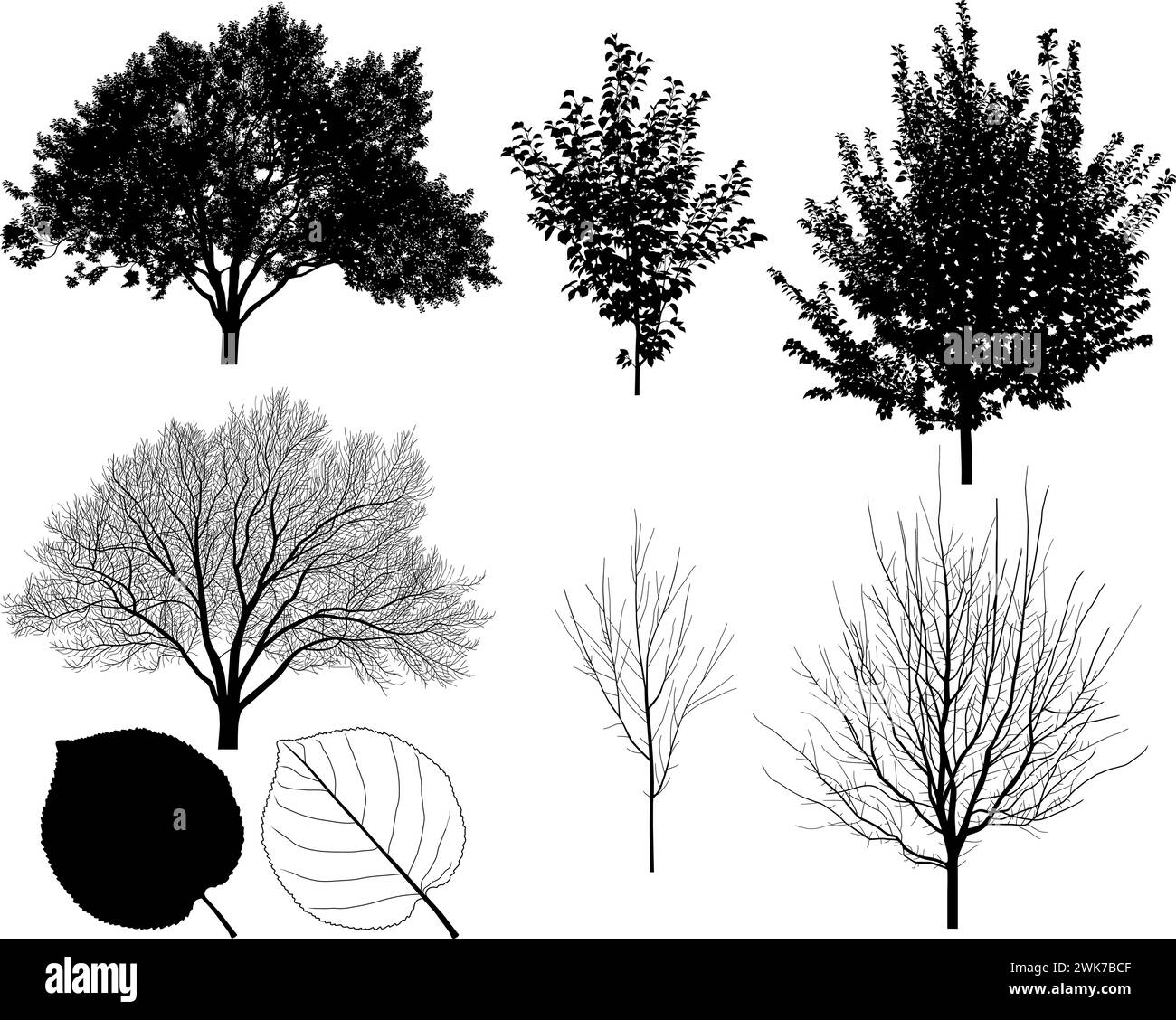 Sammlung von Silhouetten von Aprikosenbäumen und Blättern Stock Vektor