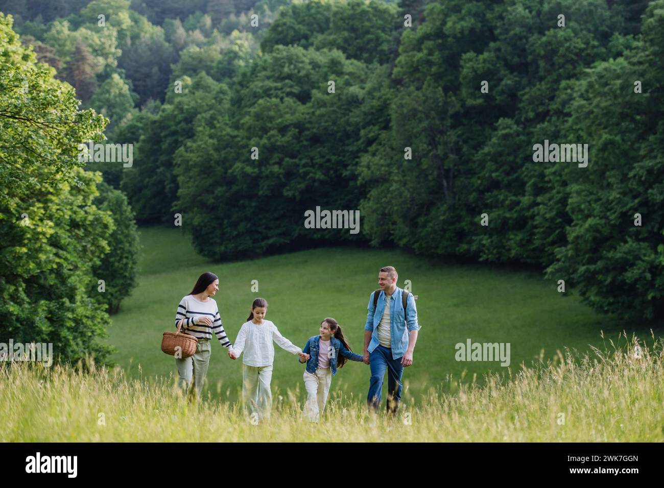 Familie auf einem interessanten Spaziergang im Wald, auf einer Wiese. Erfolgreiche Pilze, Kräuter, medizinische Pflanzen oder Blumen sammeln, Nahrungssuche. Familienbegriff Stockfoto