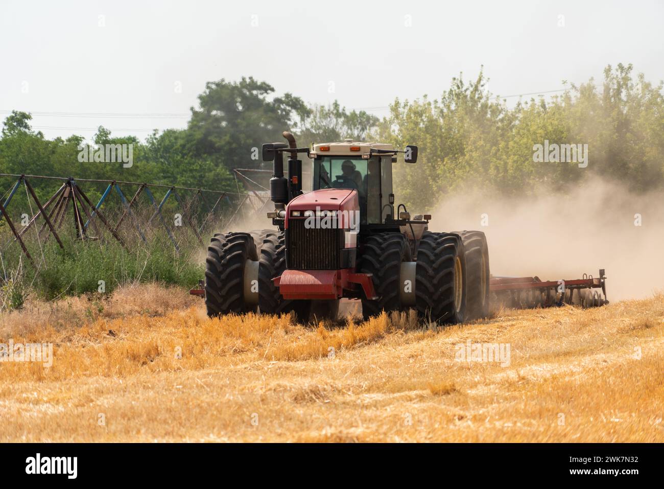 Ein Traktor mit Pflug pflügt das Feld nach der Ernte Stockfoto