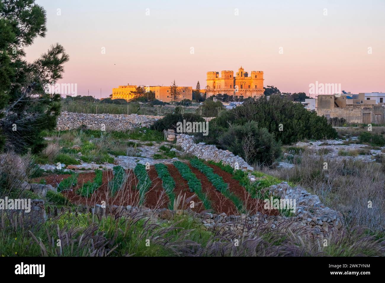 Selmun Palace und ein Gartengrundstück in Mellieha, Malta, an einem sonnigen Abend im Februar Stockfoto