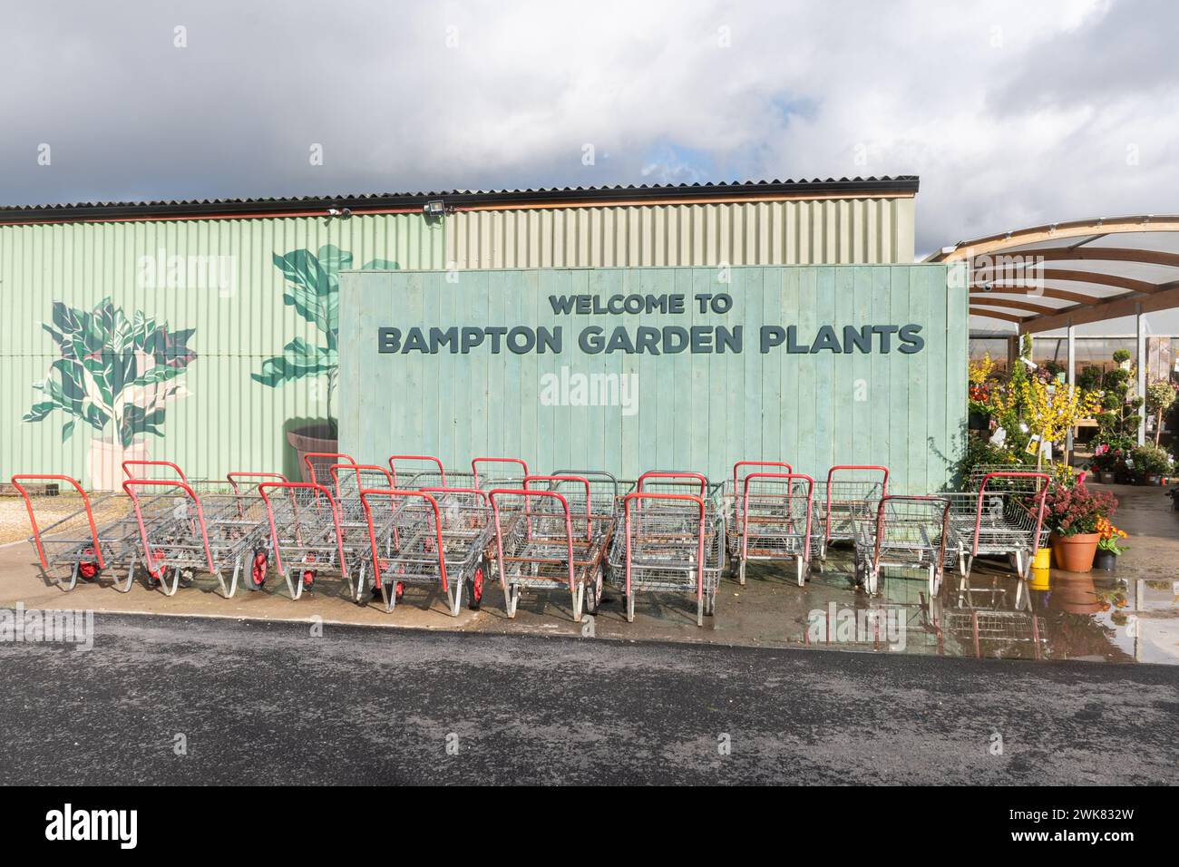 Bampton Garden pflanzt eine Baumschule oder ein Gartenzentrum in West Oxfordshire, England, Großbritannien Stockfoto