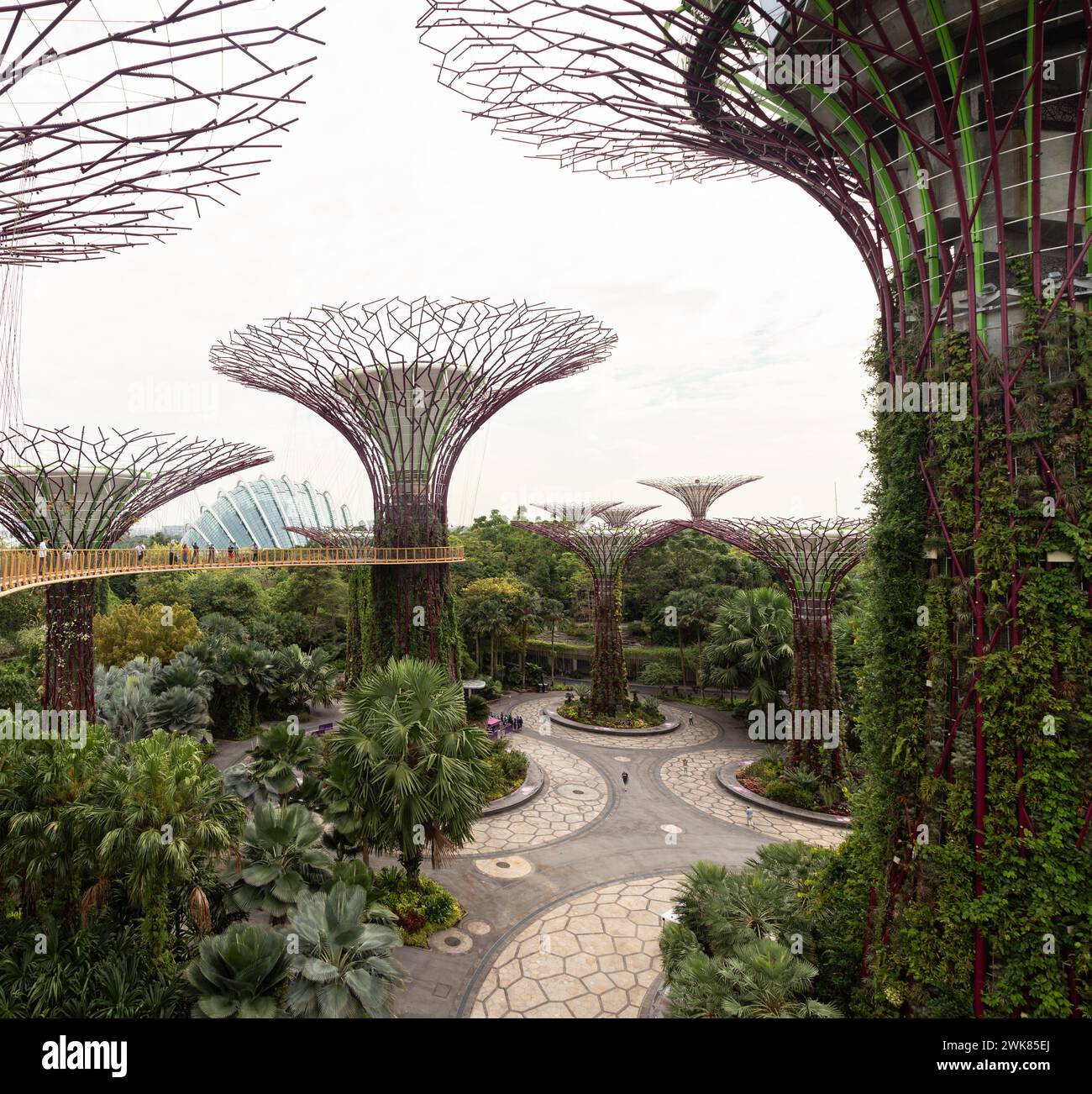 Touristen auf der Baumwipfeltour, erkunden die Gardens by the Bay Stockfoto