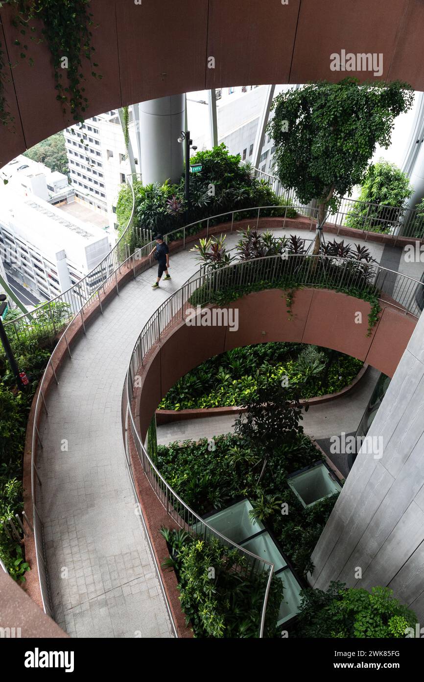Männlicher Tourist, der den Capitaspring Sky Garden in Singapur besucht Stockfoto