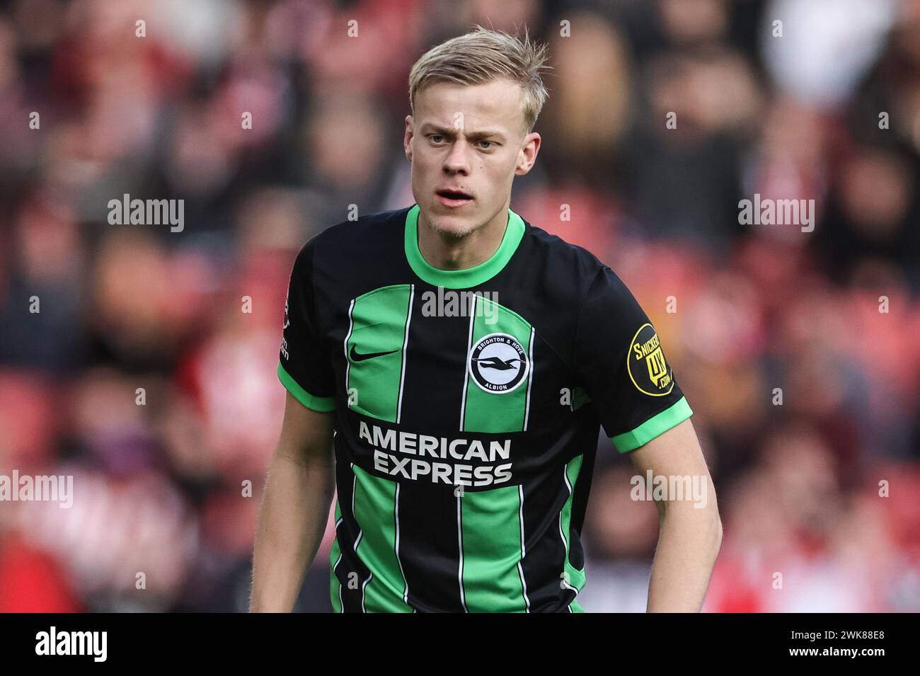 Jan Paul van Hecke von Brighton & Hove Albion während des Premier League Spiels Sheffield United gegen Brighton und Hove Albion in der Bramall Lane, Sheffield, Großbritannien, 18. Februar 2024 (Foto: Mark Cosgrove/News Images) Stockfoto