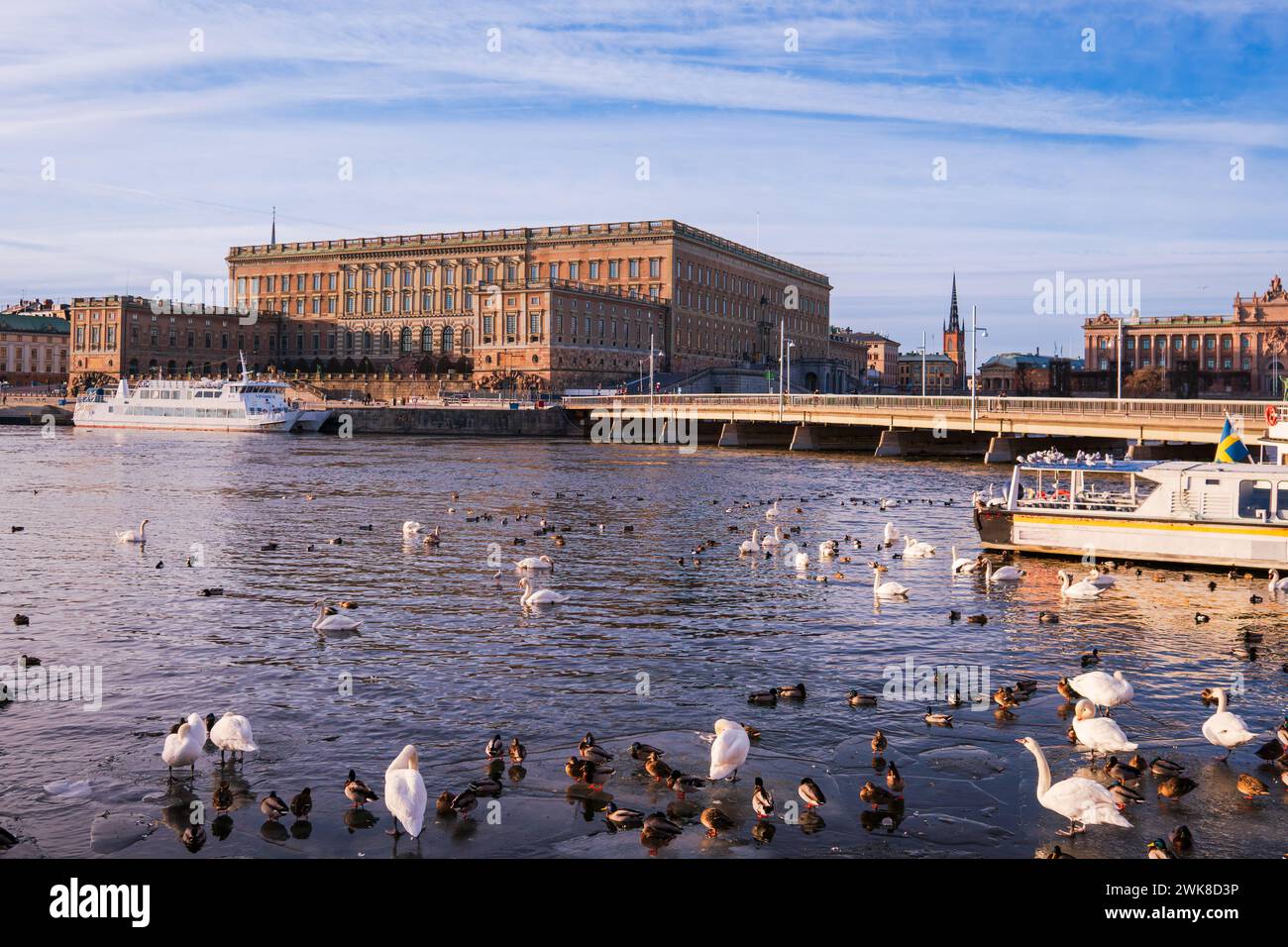 Schwedischer Königspalast, Altstadt, Stockholm, Spätwinter, helles Morgensonnenlicht, Vögel auf Meereis und im Wasser. Stockfoto