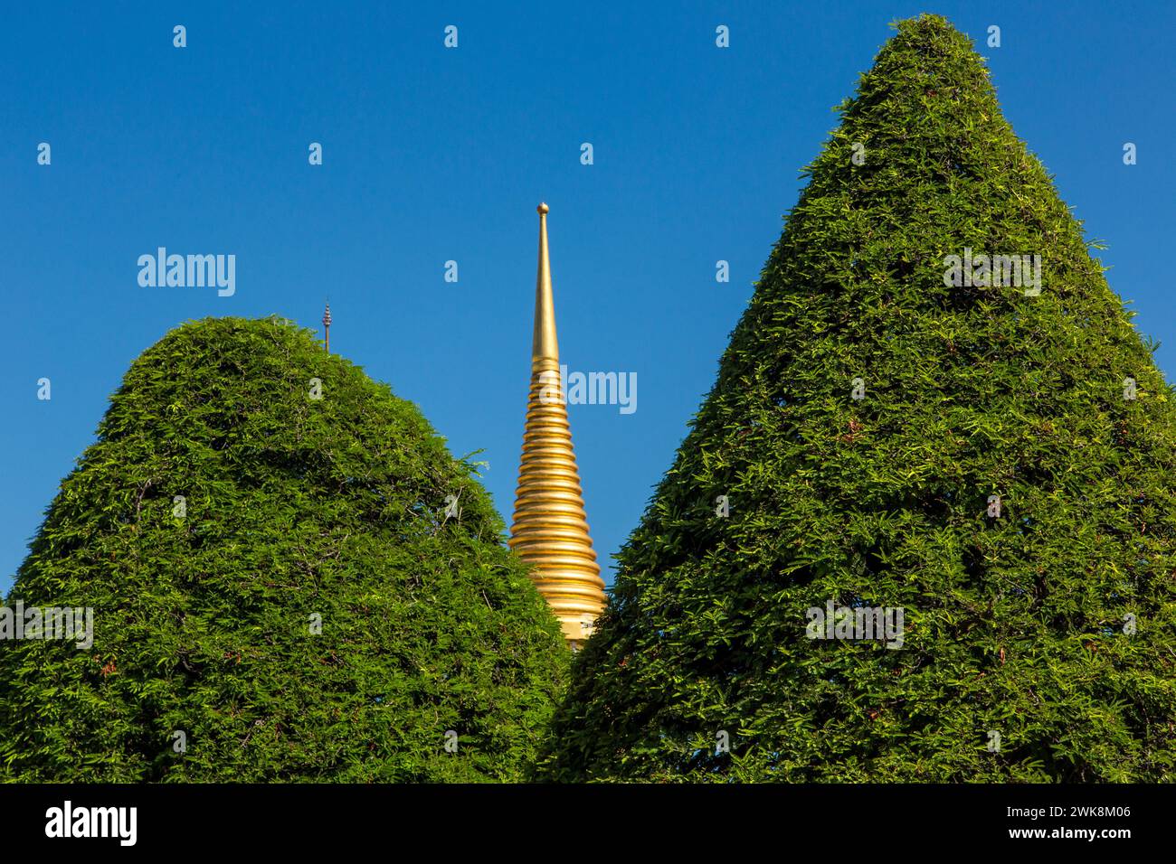 Goldener Turm des Phra Sri Rattana Chedi zwischen geformten Bäumen im Grand Palace Komplex in Bangkok, Thailand. Stockfoto