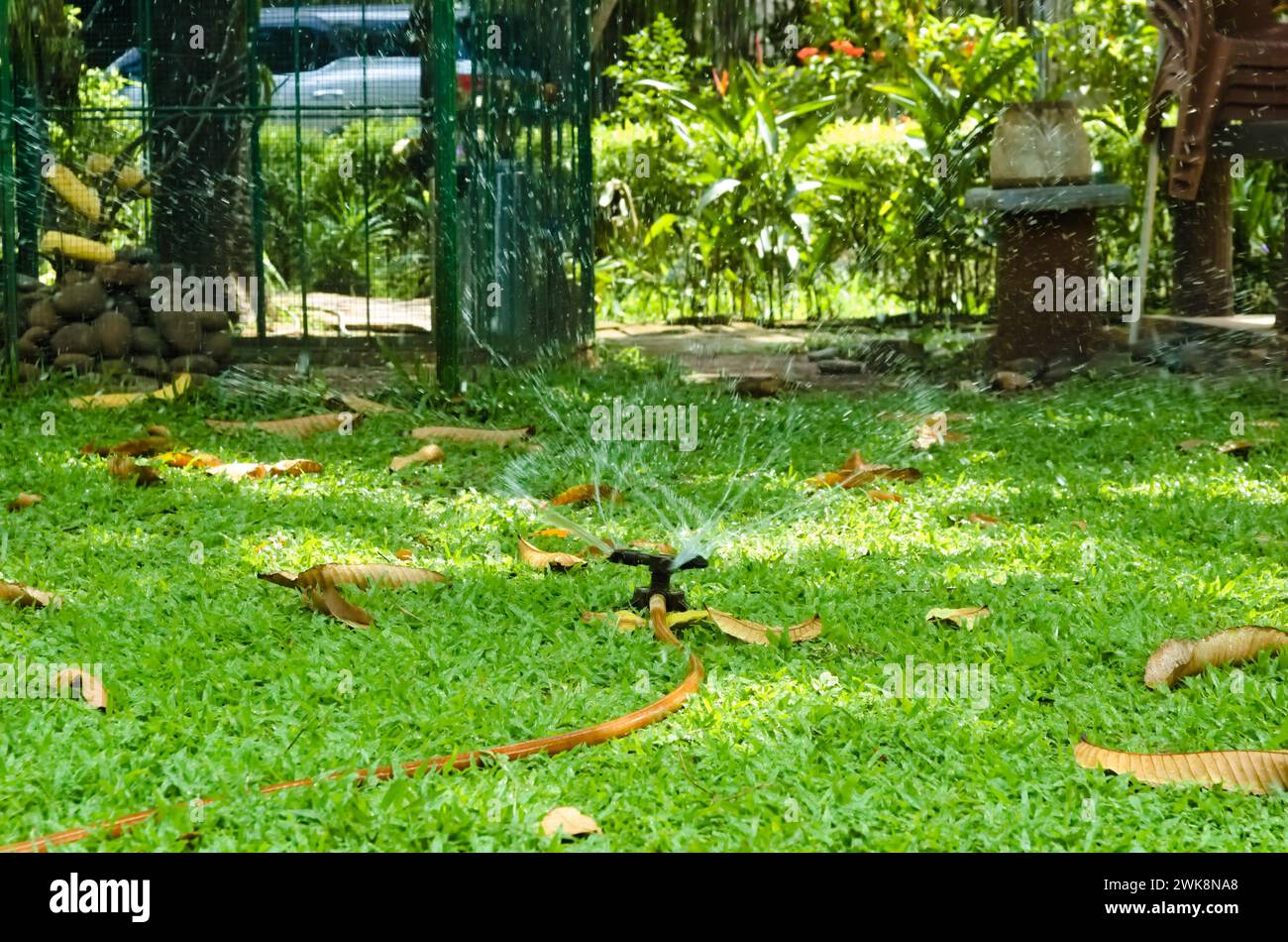 Sprinklerwasser im öffentlichen Park Stockfoto