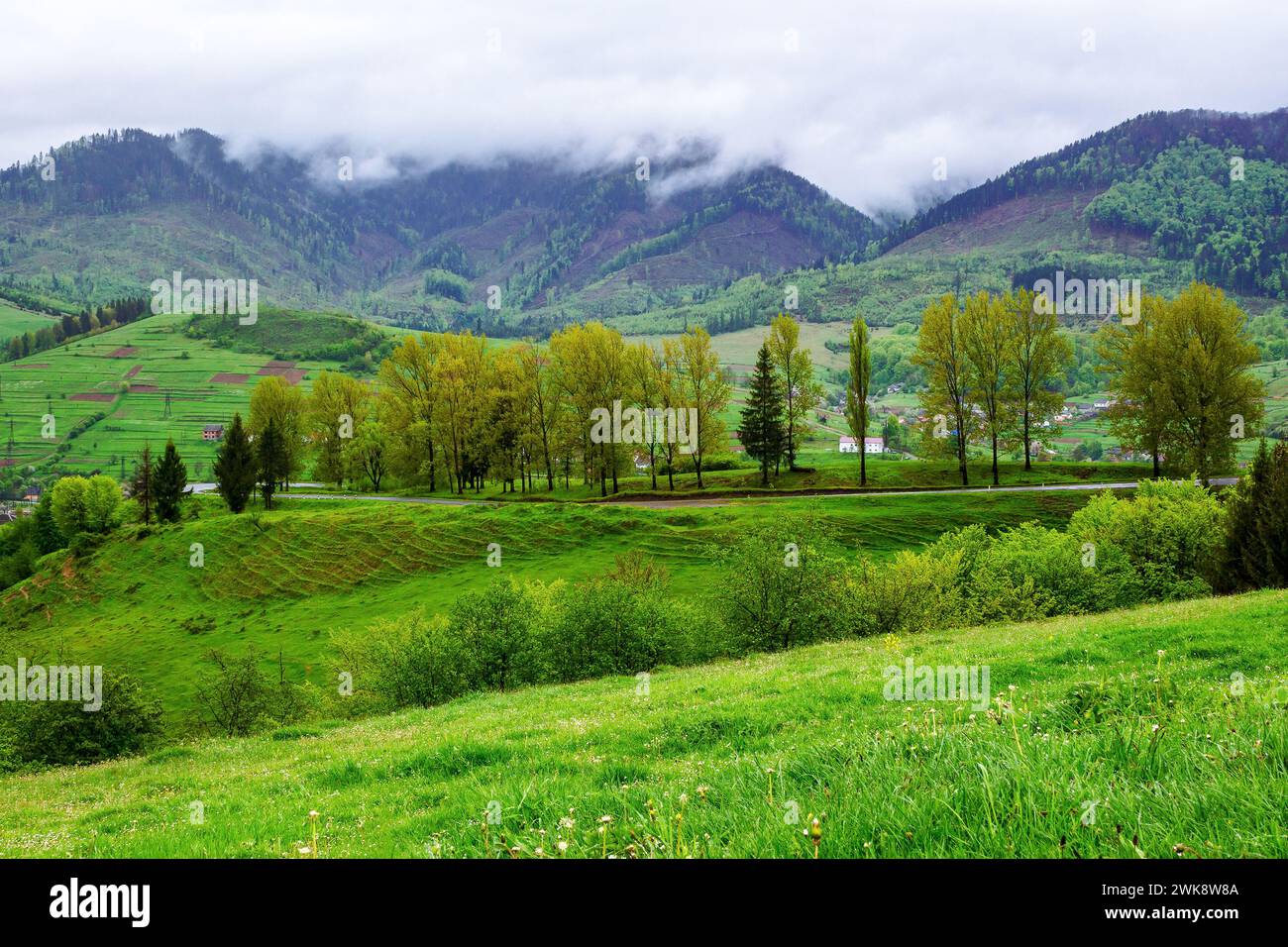 Straße durch bergige Landschaft im Frühling. karpaten-Landschaft der ukraine an einem regnerischen Tag Stockfoto
