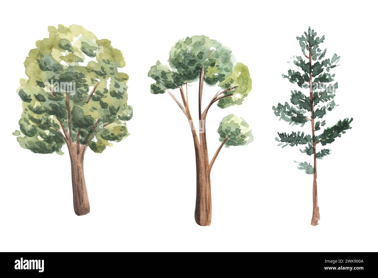 Aquarell Hand gezeichnet Satz von Bäumen Illustration Seitenansicht isoliert auf weißem Hintergrund für Landschaftsarchitektur Zeichnung, Elemente für Umwelt GA Stockfoto