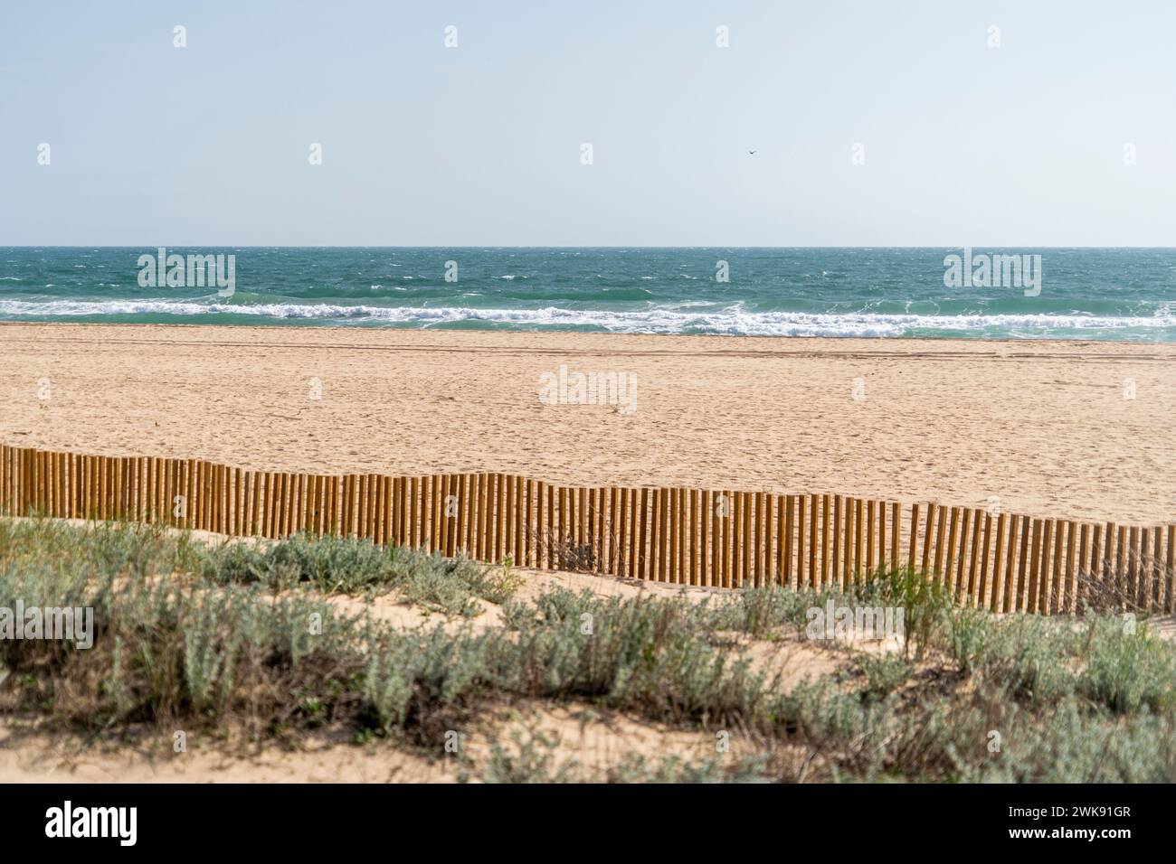 Strand mit Meer dahinter, Holzzaun im Sand, Dünenbau und Verstärkung mit Seegraslandschaft oder Meereslandschaft Hintergrund Stockfoto