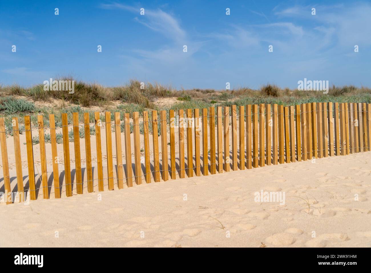Sandzaun am Strand mit Holz und Seegras, Dünenbau und Verstärkung Stockfoto