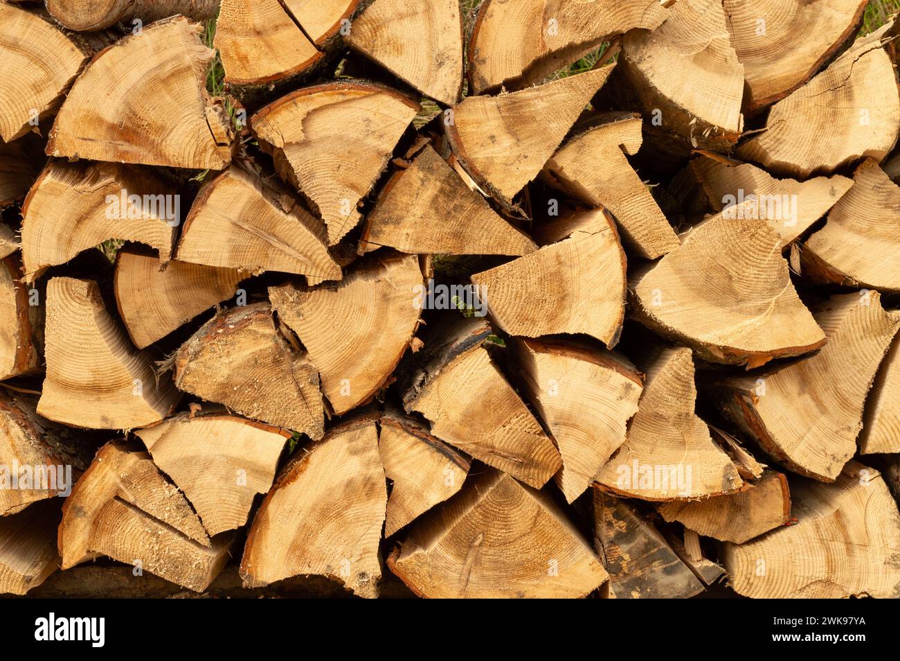 Holzhaufen. Frisch geschnittene Holzscheite im Wald gestapelt. Brennholz, Umweltschäden, ökologische Probleme, Entwaldung, alternative Energie, Lumbe Stockfoto