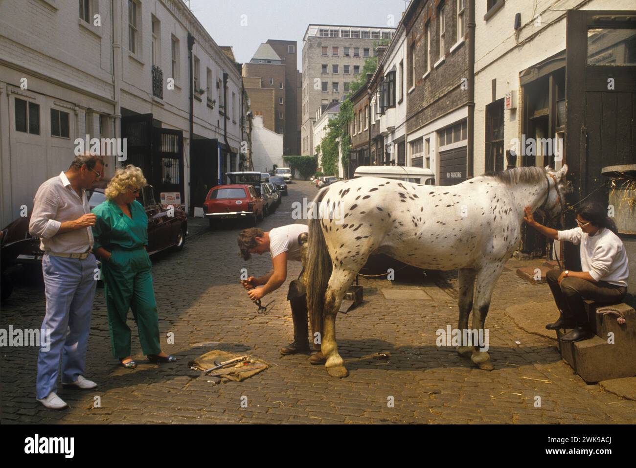 Pferdeställe London 1980er Jahre Ross Nye Stables, heute bekannt als Hyde Park Stables in Bathurst Mews, London W2. Mobiler Farrier, ein schwarzer smith, der einen neuen Pferdeschuh anpasst. ENGLAND GROSSBRITANNIEN 1989 HOMER SYKES Stockfoto