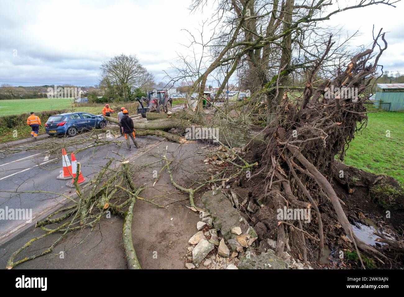 Die Arbeiter räumen einen Baum, der fiel und die A417 an der A435-Kreuzung in Cirencester blockierte, während der Sturm Pia starke Winde auslöste. Ein kleiner Vauxhall-Wagen wurde unter den äußeren Ästen des Baumes gefangen und zerquetscht, die Insassen waren in Ordnung. Stockfoto