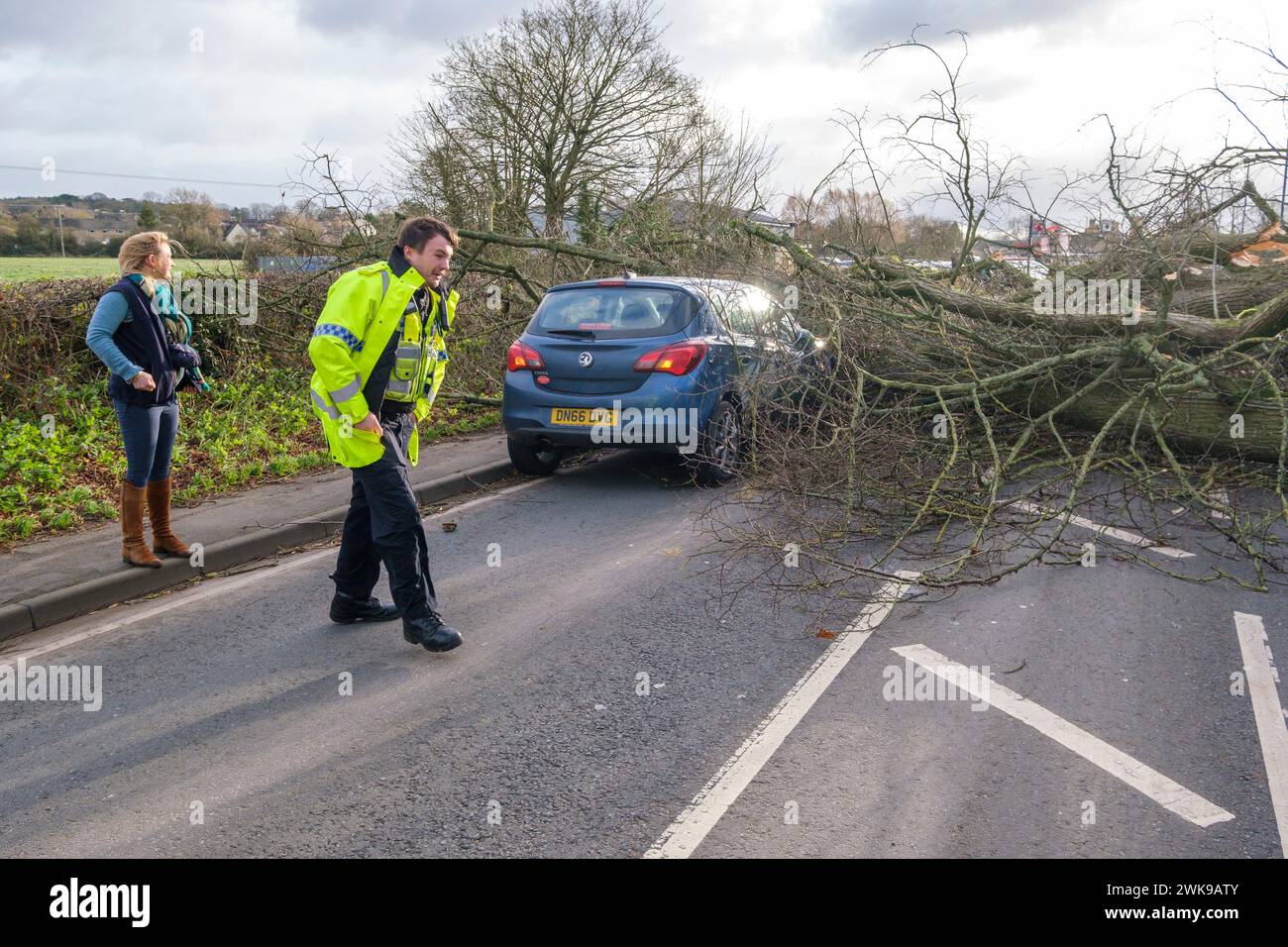 Die A417 (A435) in Cirencester ist komplett blockiert und kauft einen gefallenen Baum, der bei starken Winden vom Sturm Pia heruntergeworfen wurde. Ein kleiner Vauxhall-Wagen wurde unter den äußeren Ästen des Baumes gefangen, die Insassen sollen in Ordnung sein. Stockfoto
