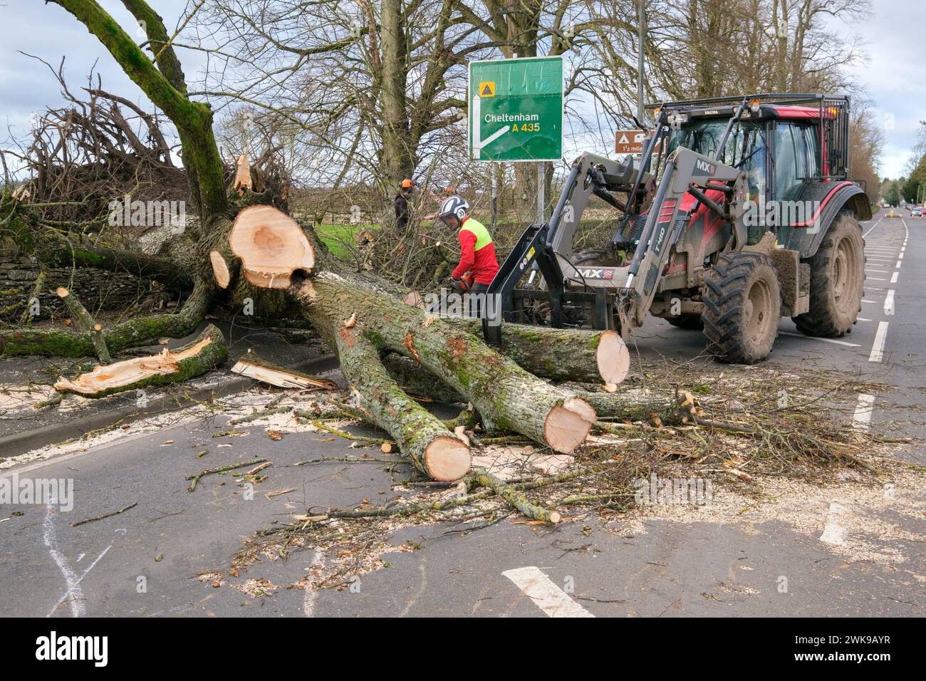 Die Arbeiter räumen einen Baum, der fiel und die A417 an der A435-Kreuzung in Cirencester blockierte, während der Sturm Pia starke Winde auslöste. Ein kleiner Vauxhall-Wagen wurde unter den äußeren Ästen des Baumes gefangen und zerquetscht, die Insassen waren in Ordnung. Stockfoto