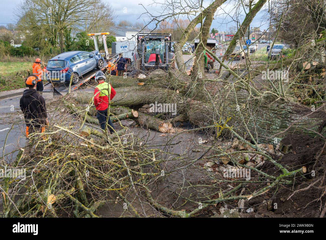 Die Arbeiter räumen einen Baum, der fiel und die A417 an der A435-Kreuzung in Cirencester blockierte, während der Sturm Pia starke Winde auslöste. Ein kleiner Vauxhall-Wagen wurde unter den äußeren Ästen des Baumes gefangen und zerquetscht, die Insassen waren in Ordnung. Stockfoto