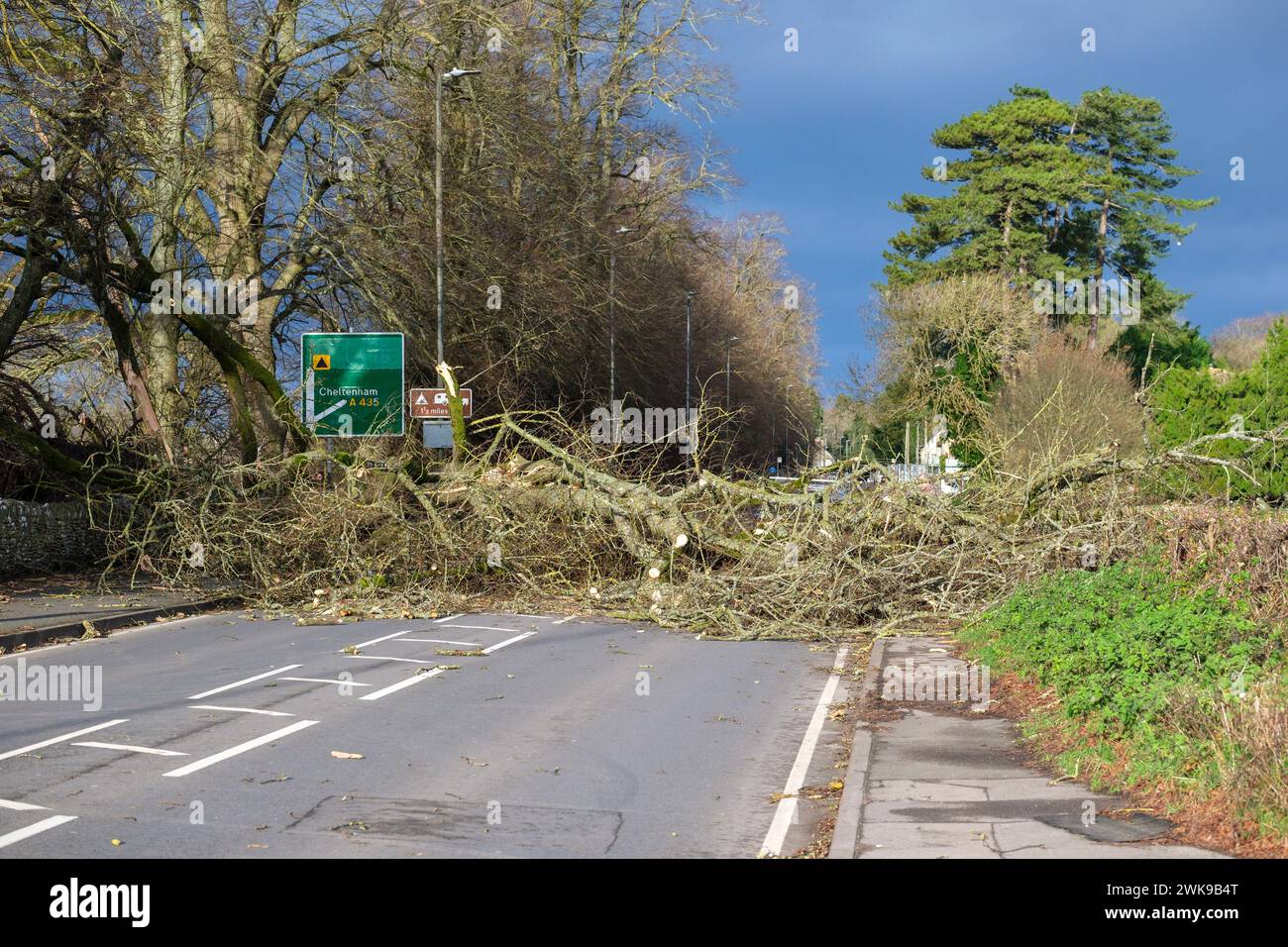 Die A417 (A435) in Cirencester ist komplett blockiert und kauft einen gefallenen Baum, der bei starken Winden vom Sturm Pia heruntergeworfen wurde. Ein kleiner Vauxhall-Wagen wurde unter den äußeren Ästen des Baumes gefangen, die Insassen sollen in Ordnung sein. Stockfoto