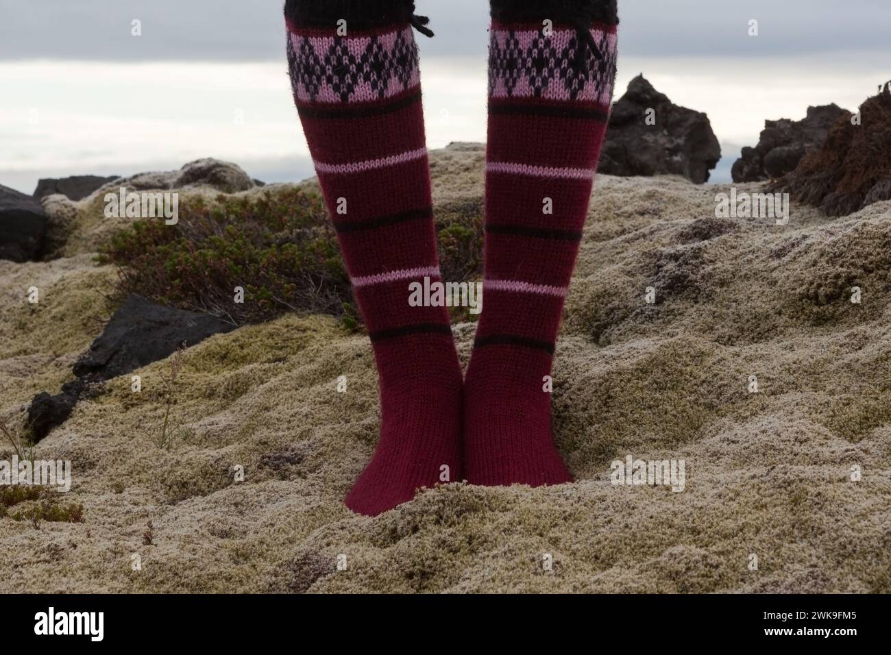 Mädchen mit isländischen Wollsocken, die im tiefen, dicken Islandmoos zwischen Steinen stehen. Fairisle traditionelle handgestrickte Socken aus isländischer Wolle Stockfoto