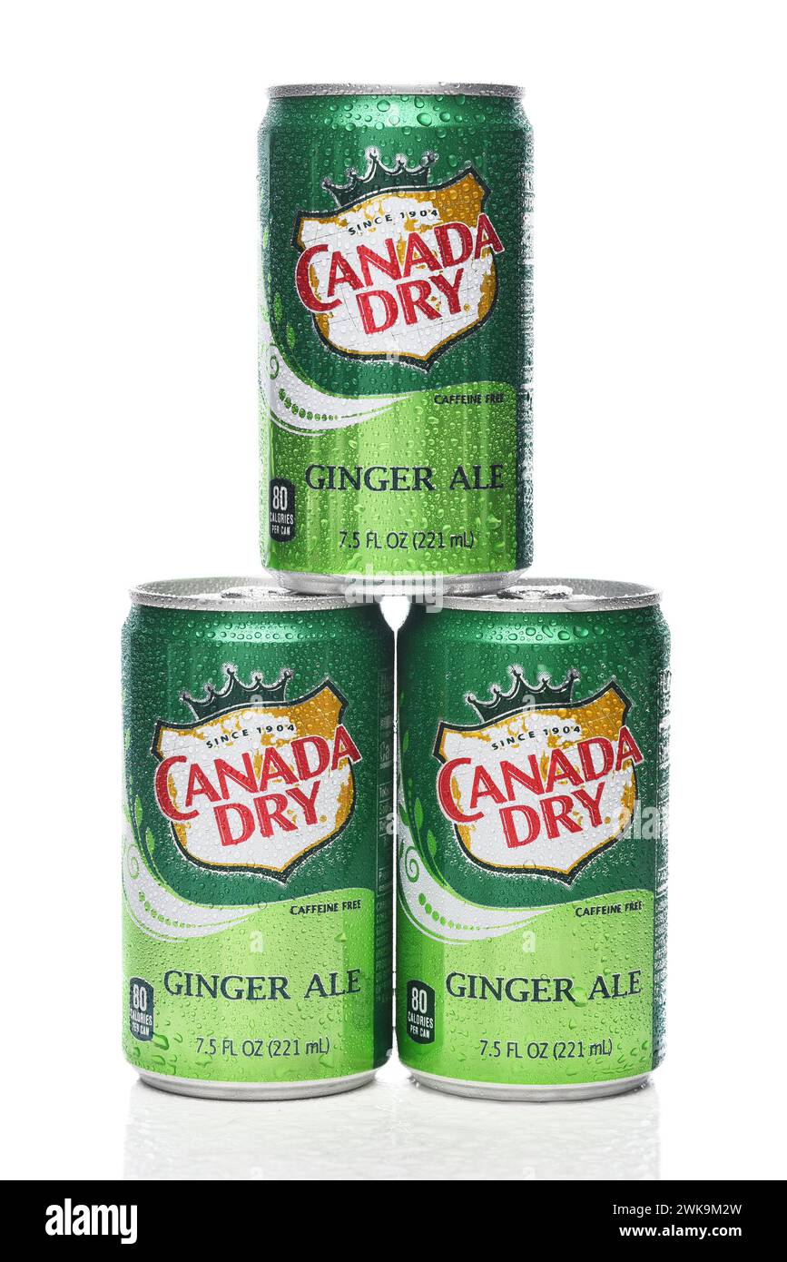 IRVINE, KALIFORNIEN, 18. Februar 2024: Ein Stapel von drei Minidosen Canada Dry Ginger Ale mit Kondensation. Stockfoto