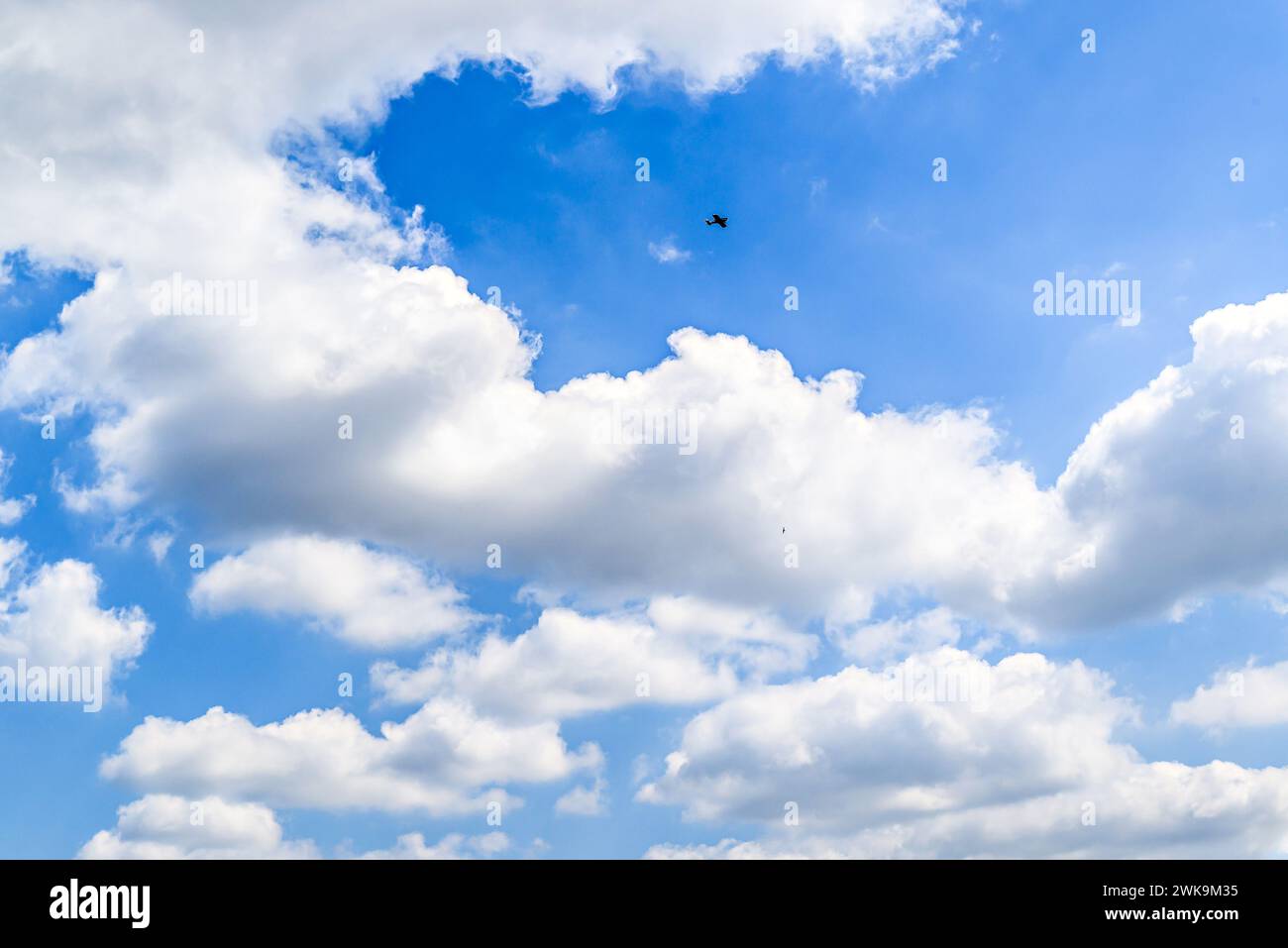 Weiße Wolken in einem leuchtend blauen Himmel. Die Schönheit der Natur Stockfoto