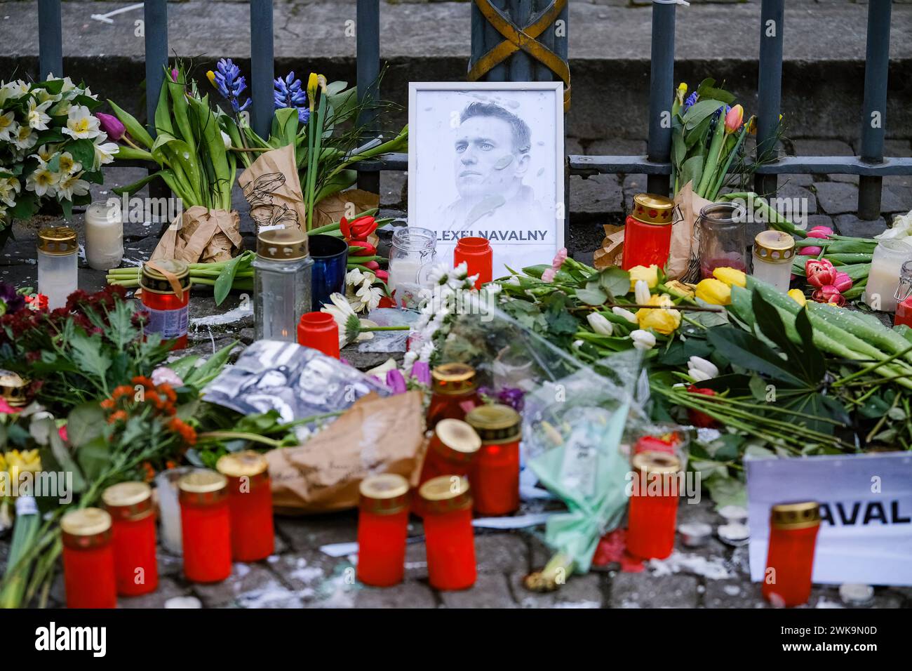 Düsseldorf 19.02.2024 Gedenkstelle Putin-Opfer Alexei Nawalny Alexei Anatoljewitsch Nawalny politischer Gefangener Russland Marktplatz Rathaus Düsseldorf Nordrhein-Westfalen Deutschland *** Düsseldorf 19 02 2024 Gedenkstätte für Putin Opfer Alexei Nawalny Alexei Anatoljewitsch Nawalny politischer Gefangener Russland Marktplatz Rathaus Düsseldorf Nordrhein-Westfalen Deutschland Stockfoto