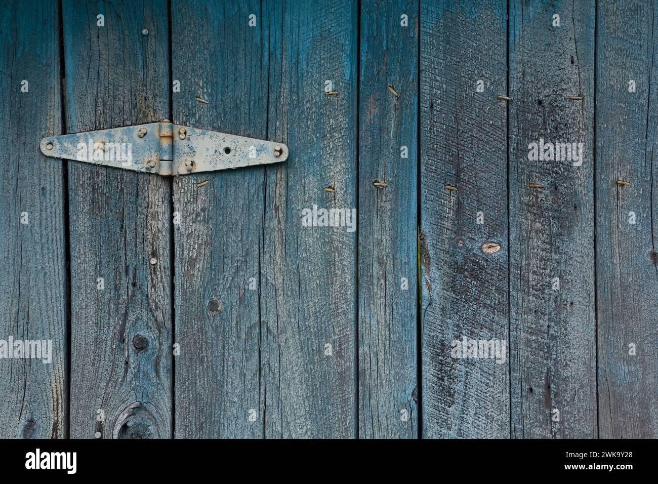 Nahaufnahme des Metallscharniers auf Holzdielen mit verblasster und abblätternder blaublauer Farbe. Stockfoto
