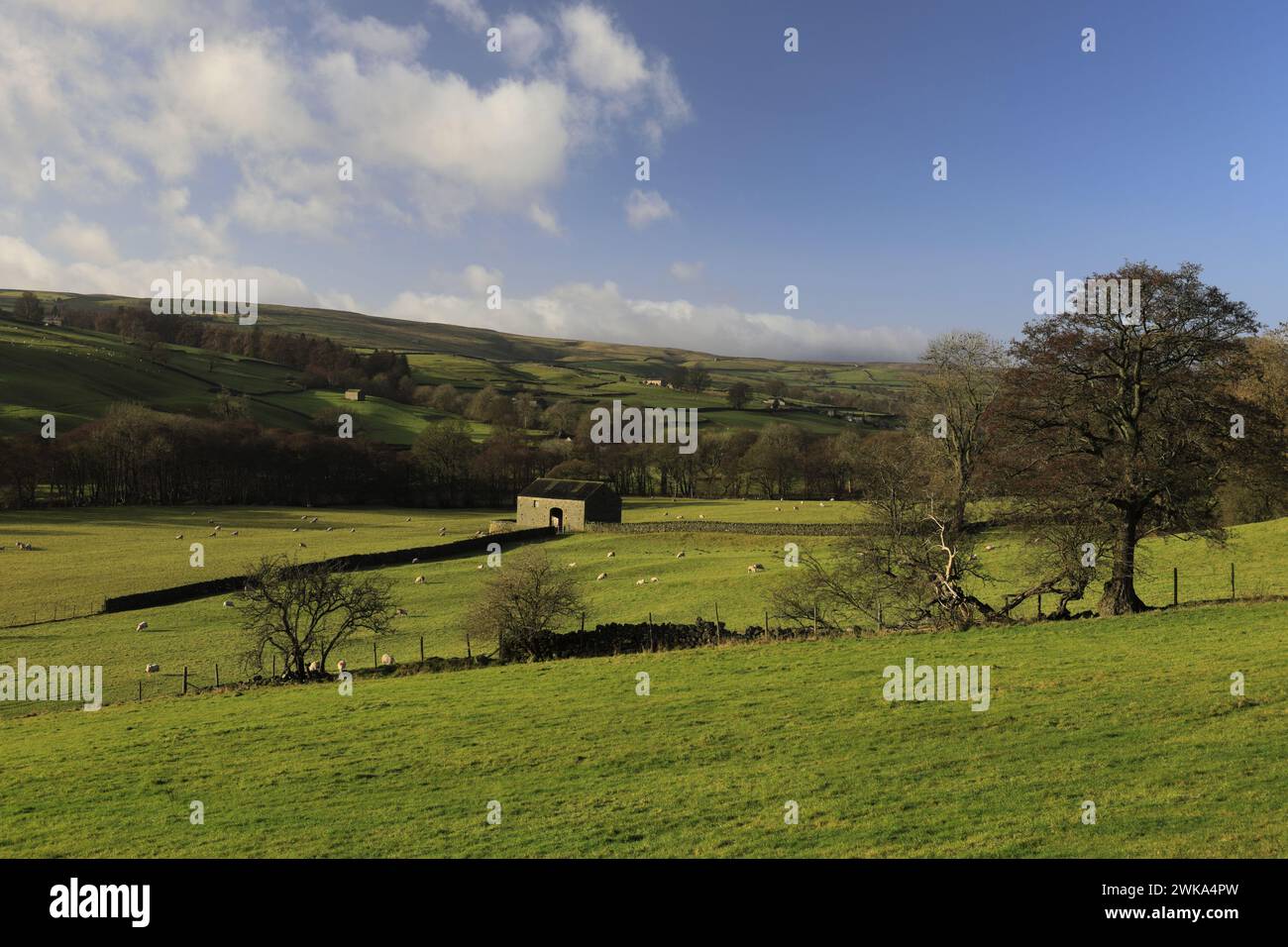 Herbstblick durch Nidderdale, in der Nähe von Middlesmoor Village, North Yorkshire, England. Stockfoto