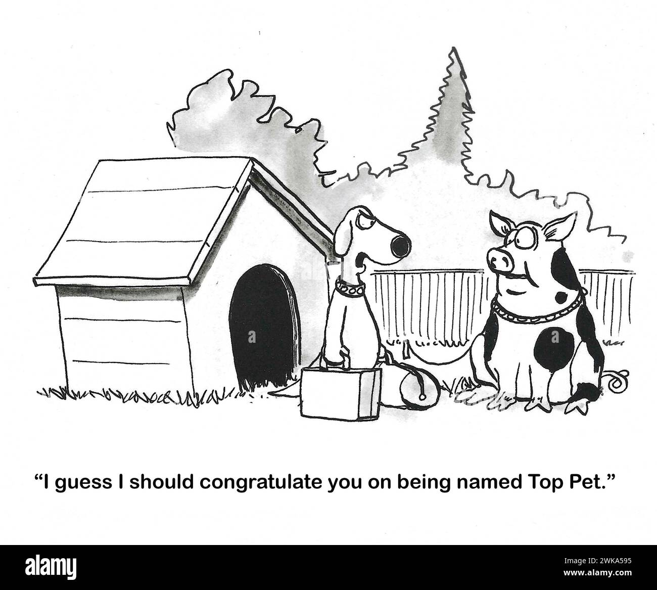 BW Cartoon eines Hundes, der das Haus der Familie verlässt, seit das Schwein als „Top PET“ bezeichnet wird. Stockfoto