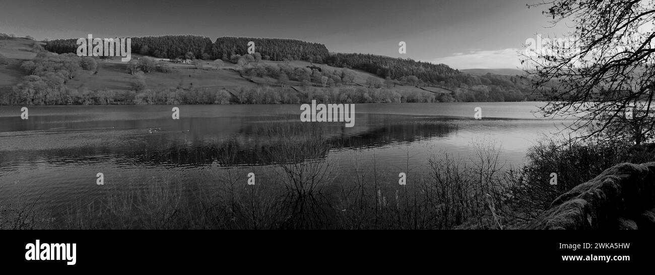 Herbstblick durch Gouthwaite Reservoir, Nidderdale ANOB, North Yorkshire, England. Stockfoto