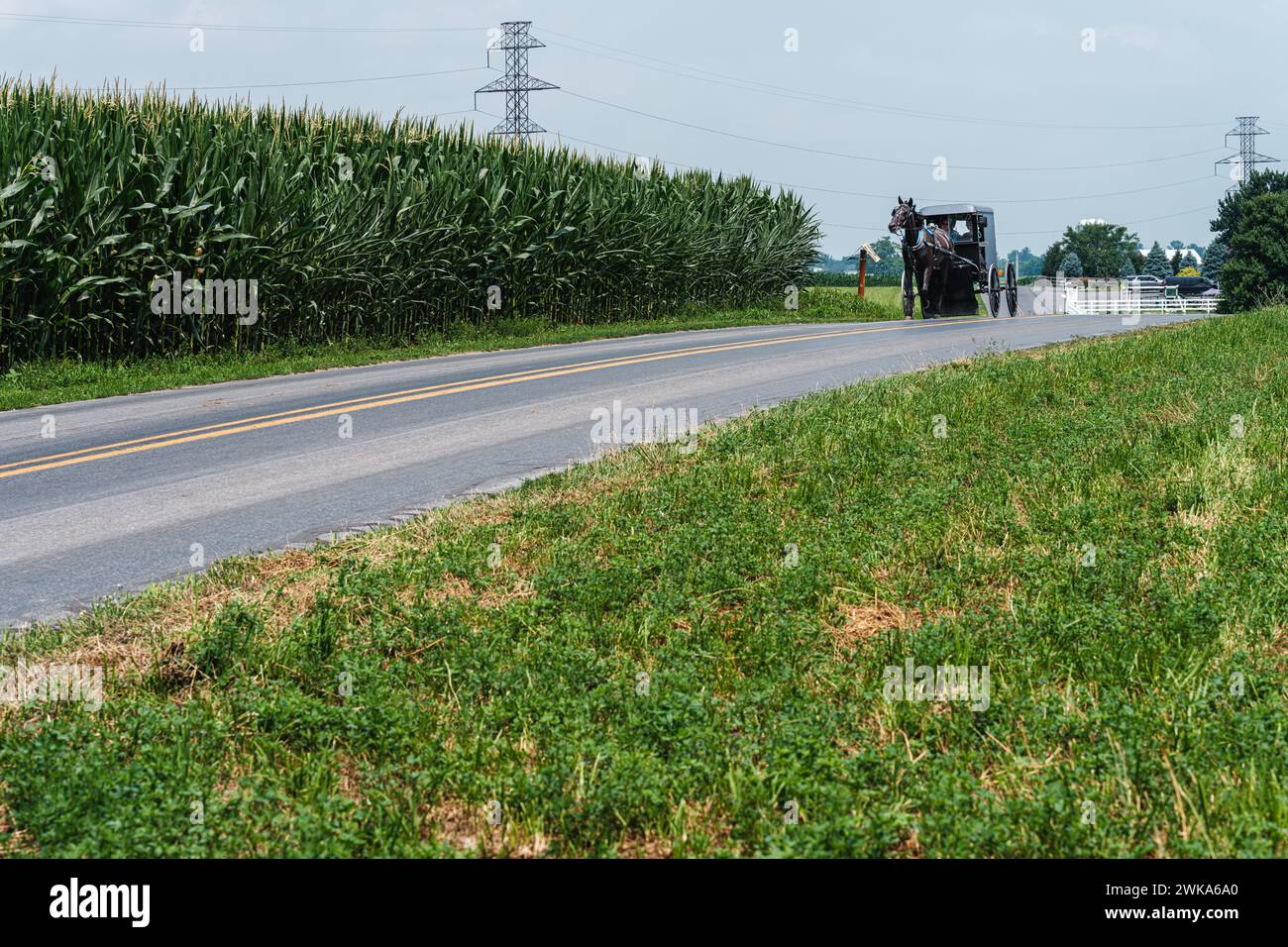 Pferde und Buggy sind das bevorzugte Transportmittel der Amischen, mit Maisfeld auf der linken und modernen Fahrzeugen ganz rechts. Stockfoto